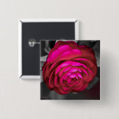 De Roze Camellia Vierkante Button 5,1 Cm (Voorkant /achterkant)