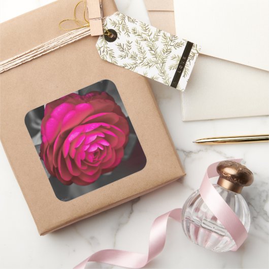 De Roze Camellia Vierkante Sticker (Geschenken)