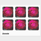 De Roze Camellia Vierkante Sticker (Vel)