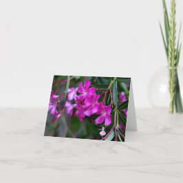 De roze Fee van de Schaduw van de Oleander Kaart