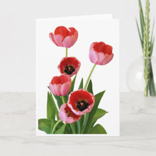 De roze Foto van het Boeket van de Tulp van de Kaart