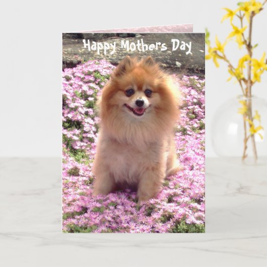 De Roze Gelukkige Moederdag Pomeranian van de foto Kaart (Gele Bloem)