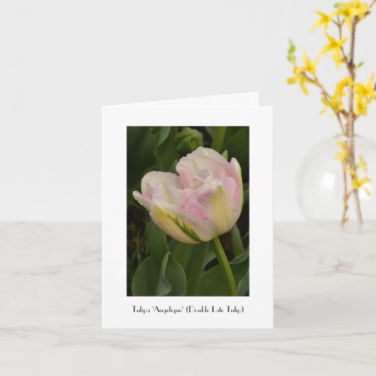 De roze Groet van de Tulp "Angelique" dankt u nota Kaart (Gele Bloem)