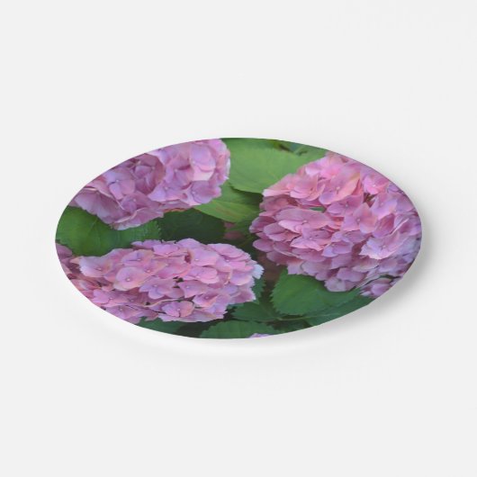 De roze Hortensia hydrangea Papieren Bordje (Gekanteld)