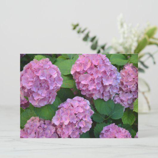 De roze Hortensia hydrangea struik Bedankkaart (Staand voorkant)