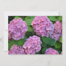 De roze Hortensia hydrangea struik Bedankkaart