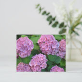De roze Hortensia hydrangea struik Briefkaart (Staand voorkant)