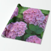 De roze Hortensia hydrangea struik Cadeaupapier (Uitgerold)
