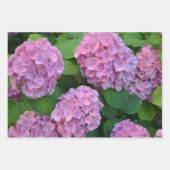 De roze Hortensia hydrangea struik Inpakpapier Vel (Voorkant 3)