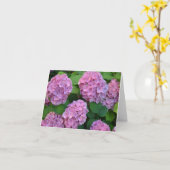 De roze Hortensia hydrangea struik Kaart (Gele Bloem)