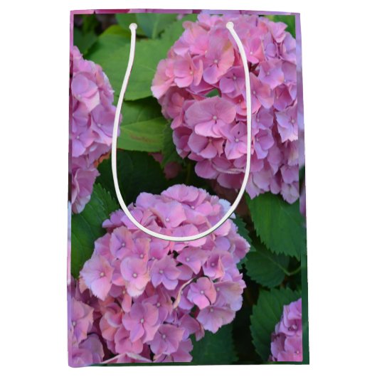 De roze Hortensia hydrangea struik Medium Cadeauzakje (Voorkant)
