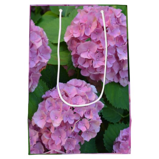 De roze Hortensia hydrangea struik Medium Cadeauzakje (Achterkant)
