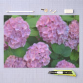De roze Hortensia hydrangea struik Tissuepapier (Craft)