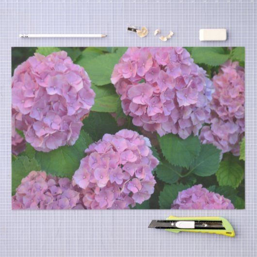 De roze Hortensia hydrangea struik Tissuepapier (Craft)