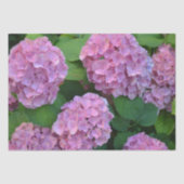 De roze Hortensia hydrangea struik Tissuepapier (Voorkant)