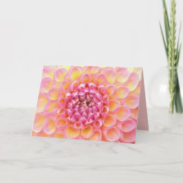 De roze Kaart van de Dahlia