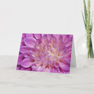 De roze Kaart van de Dahlia