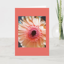 De roze Kaart van de Nota van de binnenkant van