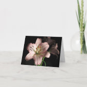 De roze Kaart van de Nota van de Lelie (Voorkant)