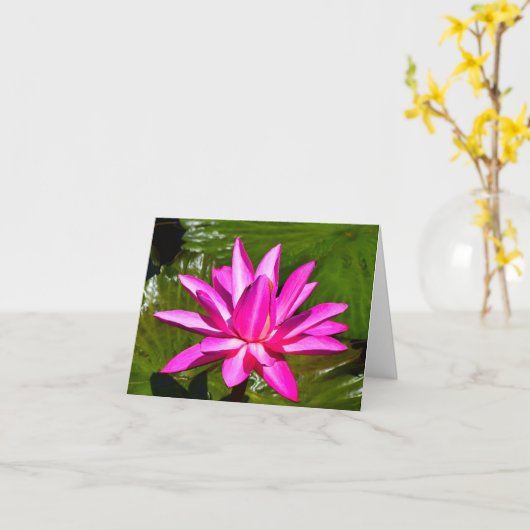 De roze Kaart van de Nota van Waterlily van de (Gele Bloem)