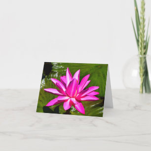 De roze Kaart van de Nota van Waterlily van de