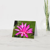 De roze Kaart van de Nota van Waterlily van de (Voorkant)