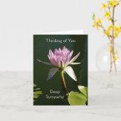 De roze Kaart van de Sympathie Waterlily (Gele Bloem)