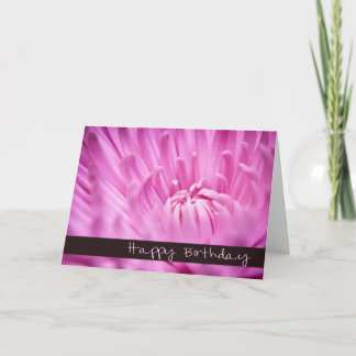 De roze Kaart van de Verjaardag van de Chrysant