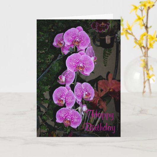 De roze Kaart van de Verjaardag van de Orchidee (Gele Bloem)