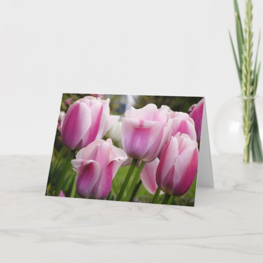 De roze kaart van Tulpen (Voorkant)