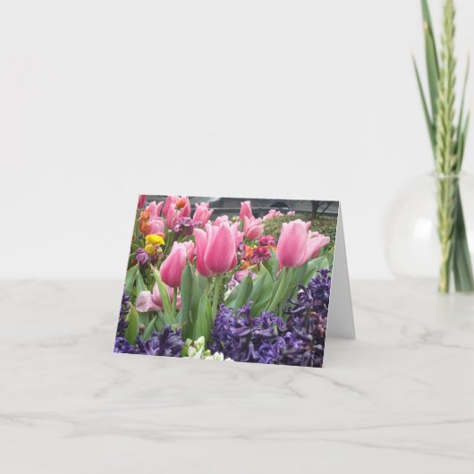 De roze Kaarten van de Nota van de Tulp Bos (Voorkant)