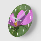 De roze omhoog Dichte Bloem van de Kosmos Ronde Klok (Hoek)