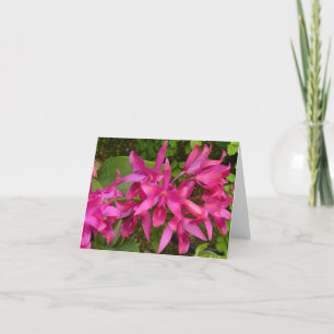 De roze Orchideeën allen veroorzaakt Bedankkaart