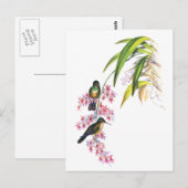 De roze orchideeën en kolibries van John Gould Briefkaart (Voorkant / Achterkant)