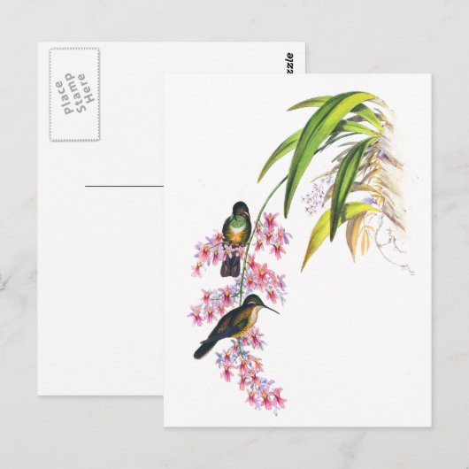 De roze orchideeën en kolibries van John Gould Briefkaart (Voorkant / Achterkant)