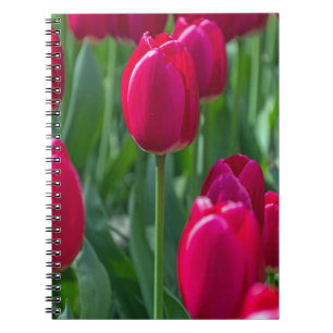 De roze tulpen sluiten omhoog notitieboekje notitieboek