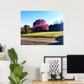 De roze tulpenboom poster (Thuiskantoor)