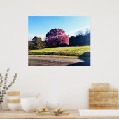 De roze tulpenboom poster (Keuken)