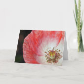 De roze Verjaardag van de Papaver Kaart (Voorkant)