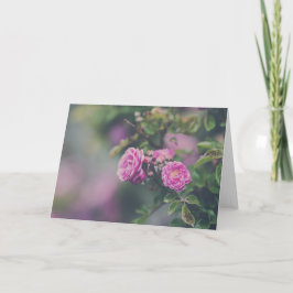 De Rozen van de kool Kaart