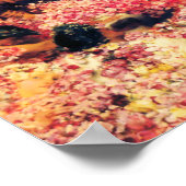 De Rozen van het Poster Heliogabalus (Hoek)