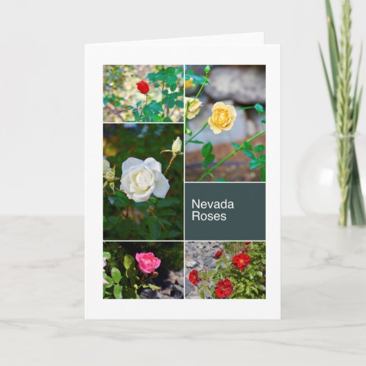 De Rozen van Nevada in de fotocollage van Parken Kaart (Voorkant)