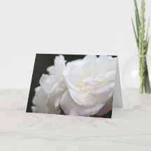 De rozensympathie van de ijsberg