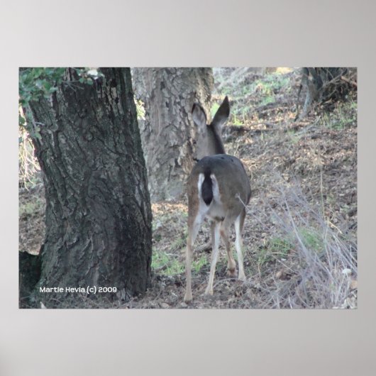 De rug van het hert poster (Voorkant)