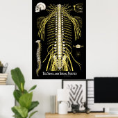 De ruggengraat en de ruggenmerg poster (Thuiskantoor)