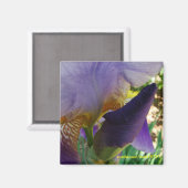 De ruimte tussen magneet (Voorkant / Achterkant)