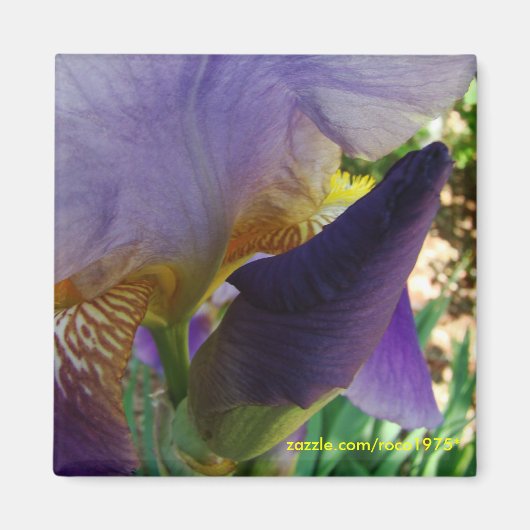 De ruimte tussen magneet (Voorkant)