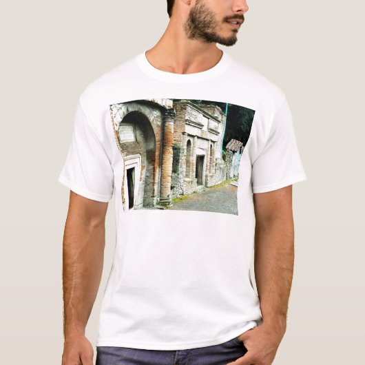 De ruïnes van Pompeii - markt met tempels T-shirt (Voorkant)