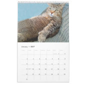 De Rupie Shop Cute Cat Calendar Kalender (Jan 2027)