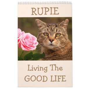 De Rupie Shop Cute Cat Calendar Kalender